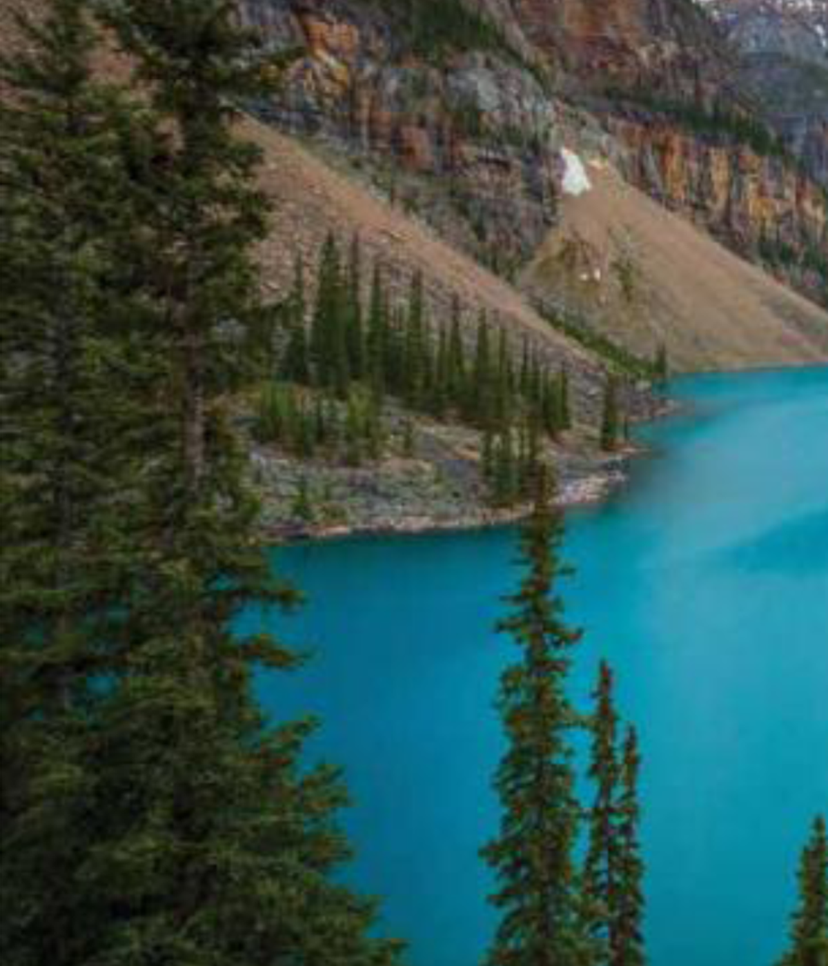 Montagne, arbres et lac