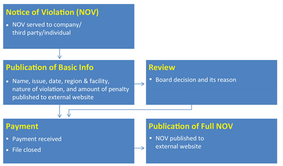 Diagram 2: Summary of AMP Process