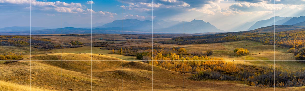 Décision en bref&nbsp; : Projet de livraison parcours ouest en 2023