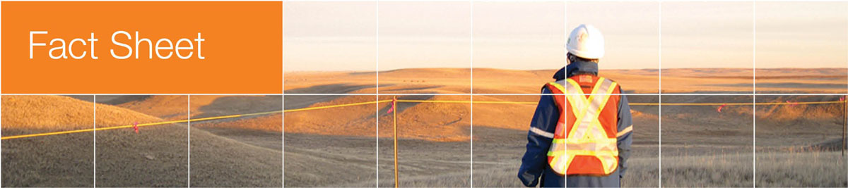 Fact Sheet