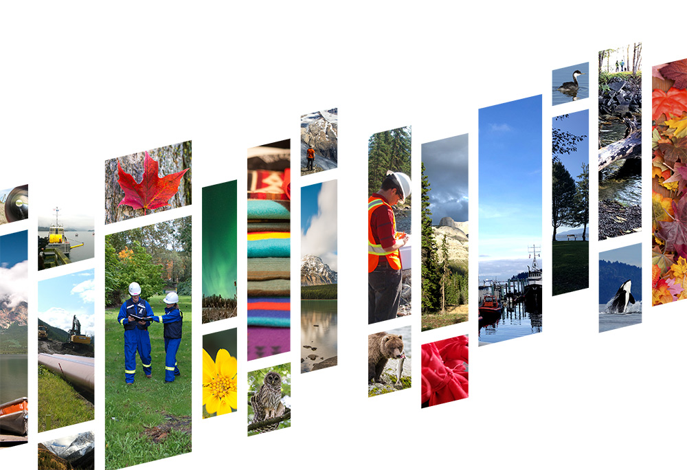 Image du rapport sur le projet Trans Mountain 