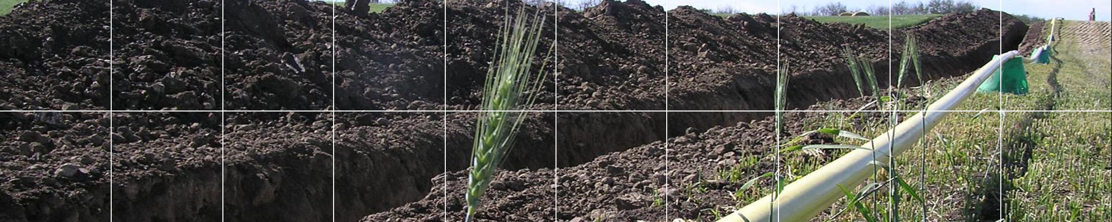 Pipeline traversant un champ.