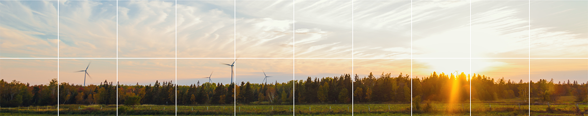 Troupeau d’oies canadiennes en vol