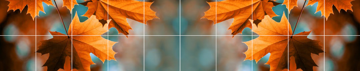 Rôle de la Commission