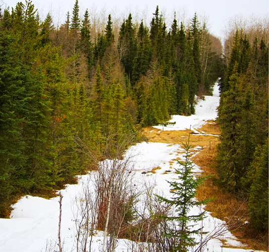 Emprise pipelinière