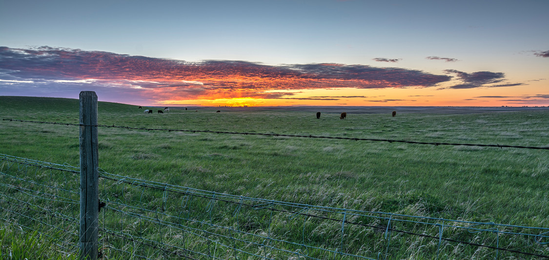 Coucher de soleil sur des terres agricoles