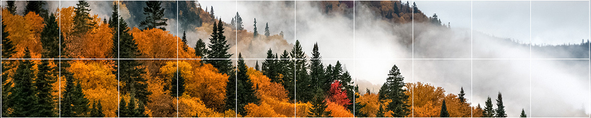 Magnifique journée d’automne colorée dans le parc de la rivière Jacques Cartier, Québec, Canada
