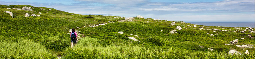 Randonneur dans un pré côtier