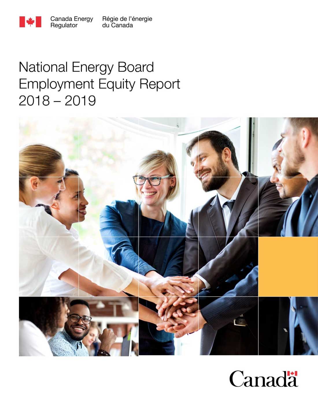 Employment Equity Report 2018-2019