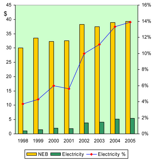 NEB & Electricity Costs - 1998 to 2005 ($&nbsp;millions)