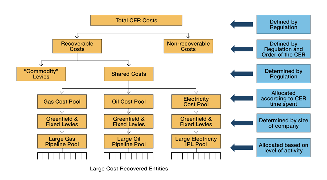 Flowchart describing the allocation of costs