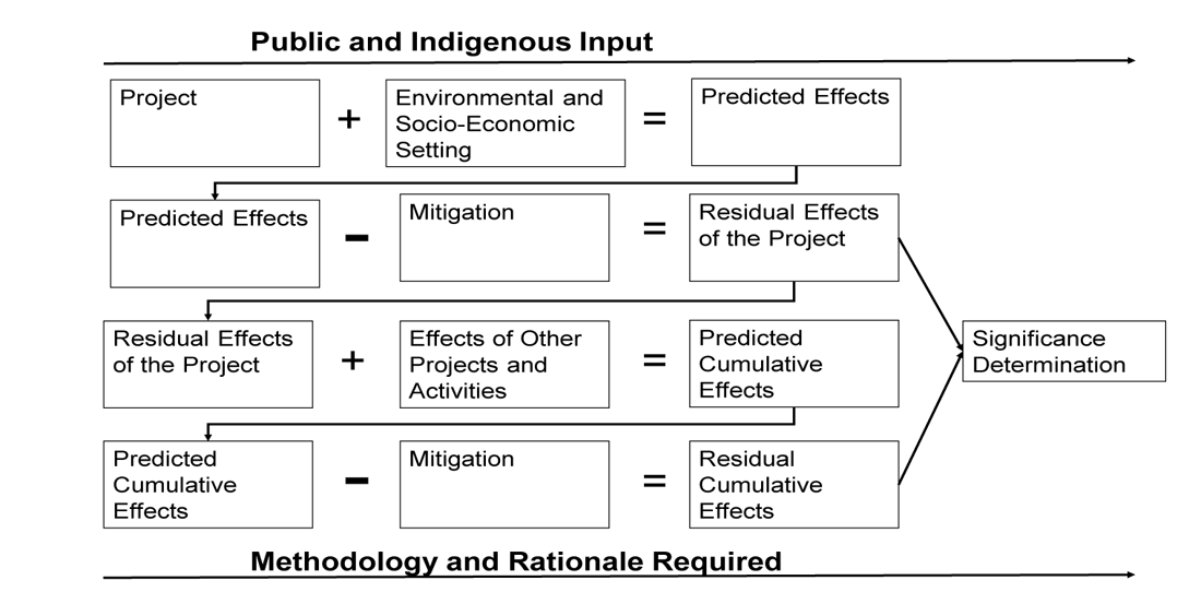 Figure&nbsp;6-1: The Applicant&rsquo;s ESA process