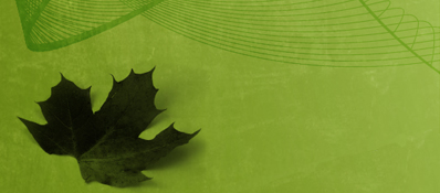 Initiative nationale de mobilisation