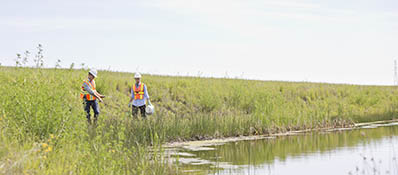 Guide sur le processus de réhabilitation – Ébauche