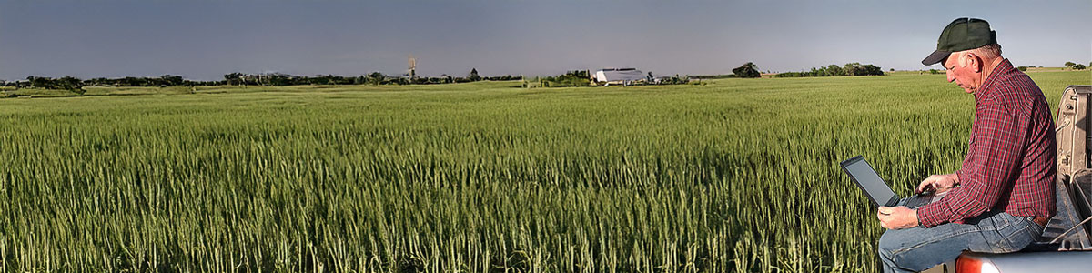 Farmer sitting on the tailgate of a parked pick-up truck and looking at a computer on his lap.