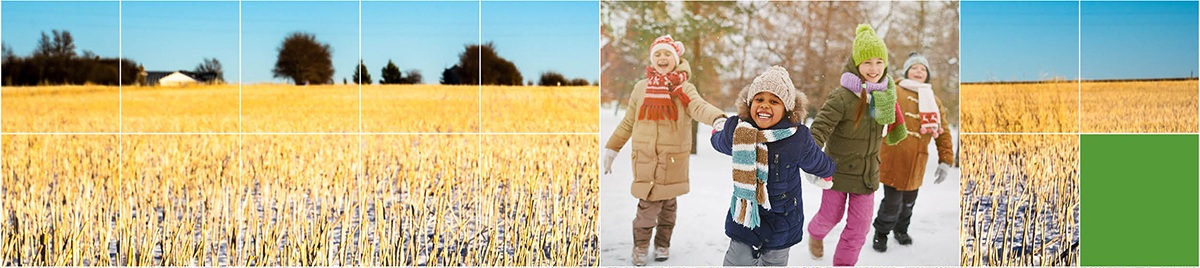 Banner with white intersecting lines and icon showing an agricultural landscape.