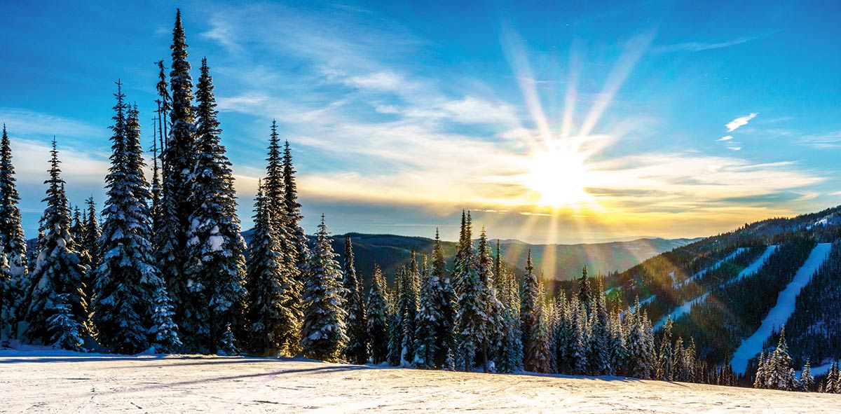Figure&nbsp;4 &ndash; Winter landscape with fir trees and mountains in the background.