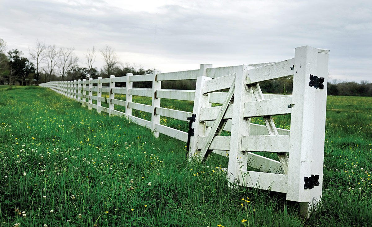 Figure&nbsp;6 &ndash; Open gate and fence crossing an open field.