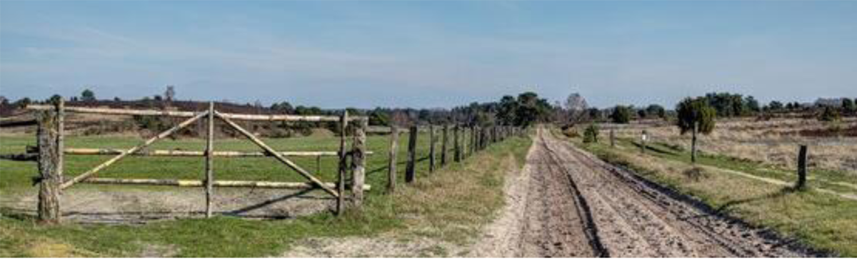 Figure&nbsp;2 &ndash; Country road across fields.