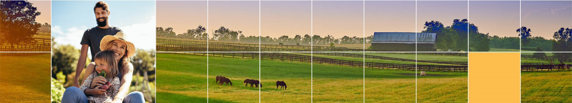 Bannière quadrillée avec pictogramme montrant un paysage agricole.
