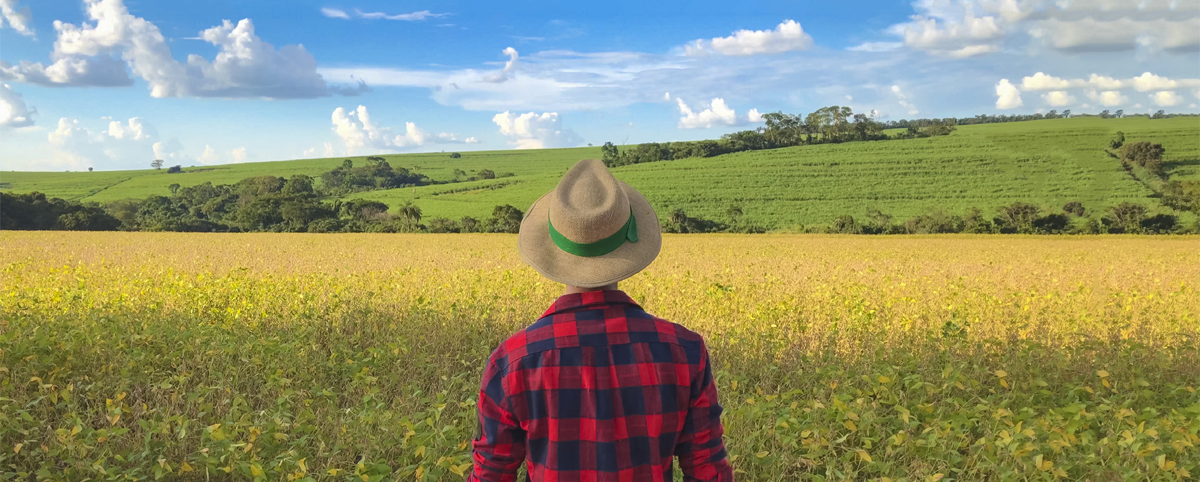 Figure&nbsp;2 &ndash; Man photographed from the back looking at fields in the distance