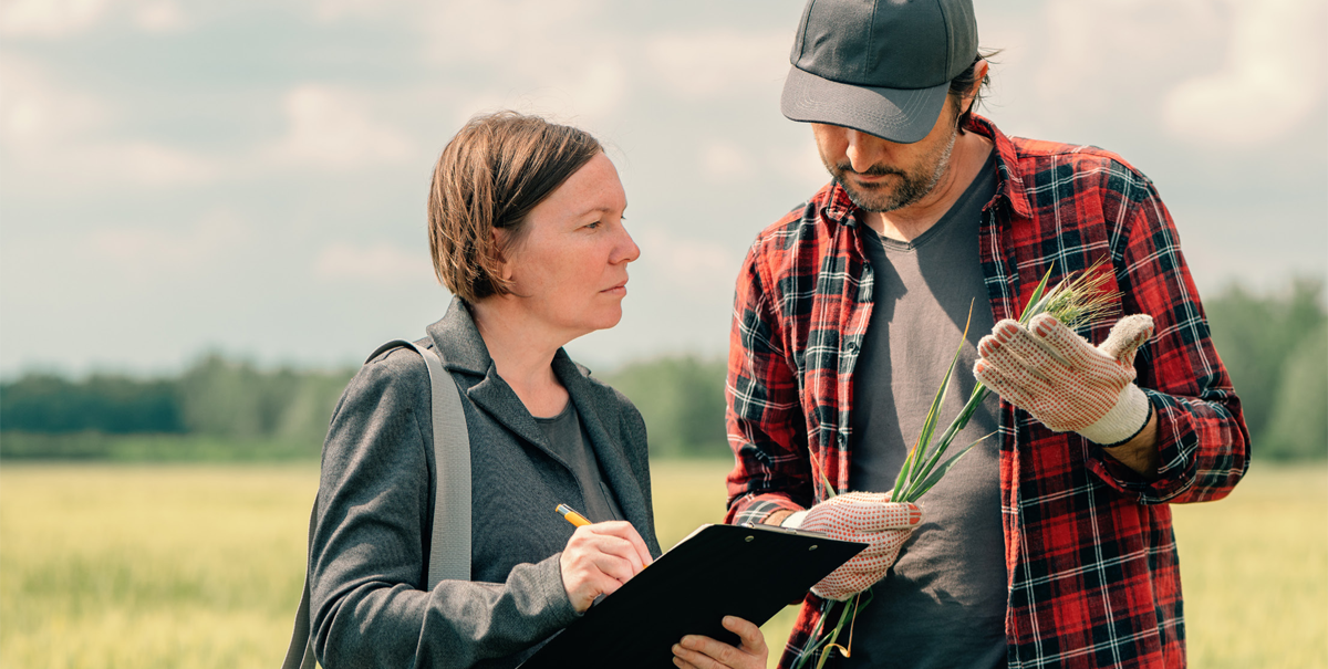 Figure&nbsp;4 &ndash; Man with a wheat sheath in his hand is talking to a woman holding a clipboard