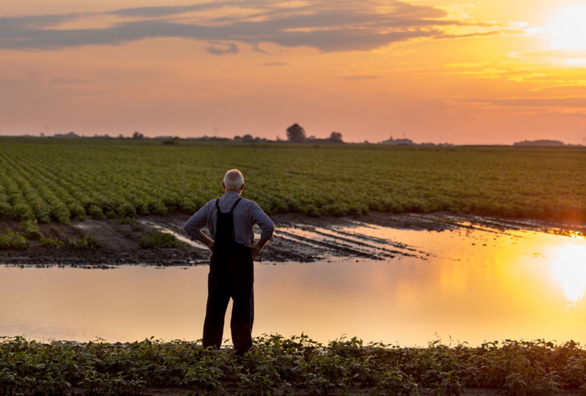 Figure&nbsp;5 &ndash; Man looking at a flooded section of a cultivated field