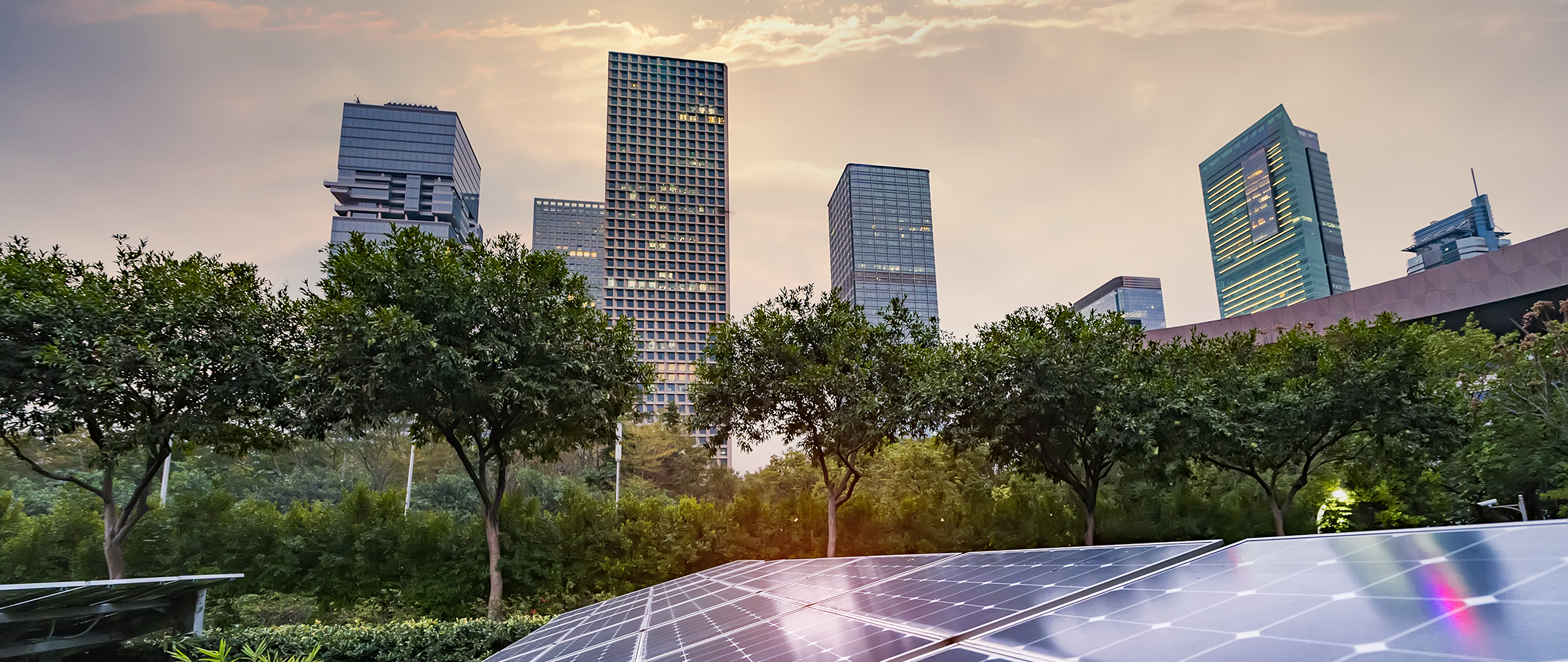 Banner image for Introduction