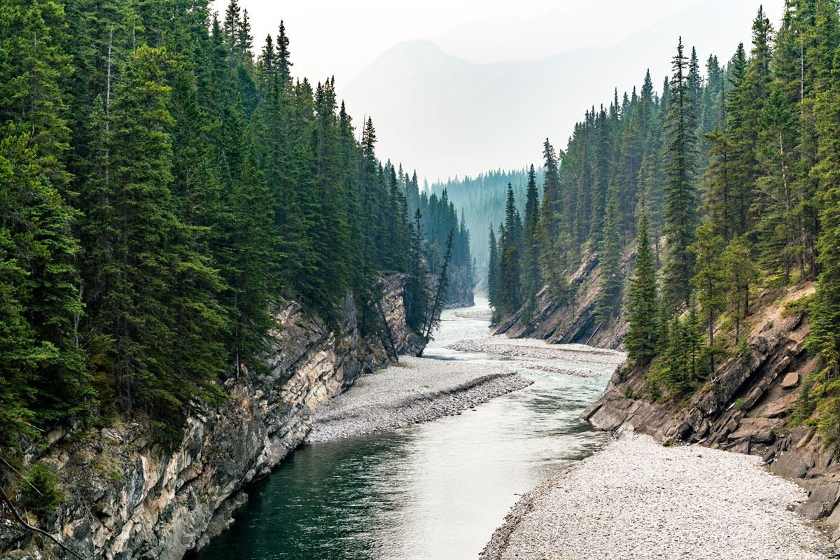 Une rivière qui serpente à travers les rochers et les pins, avec une montagne en arrière-plan.