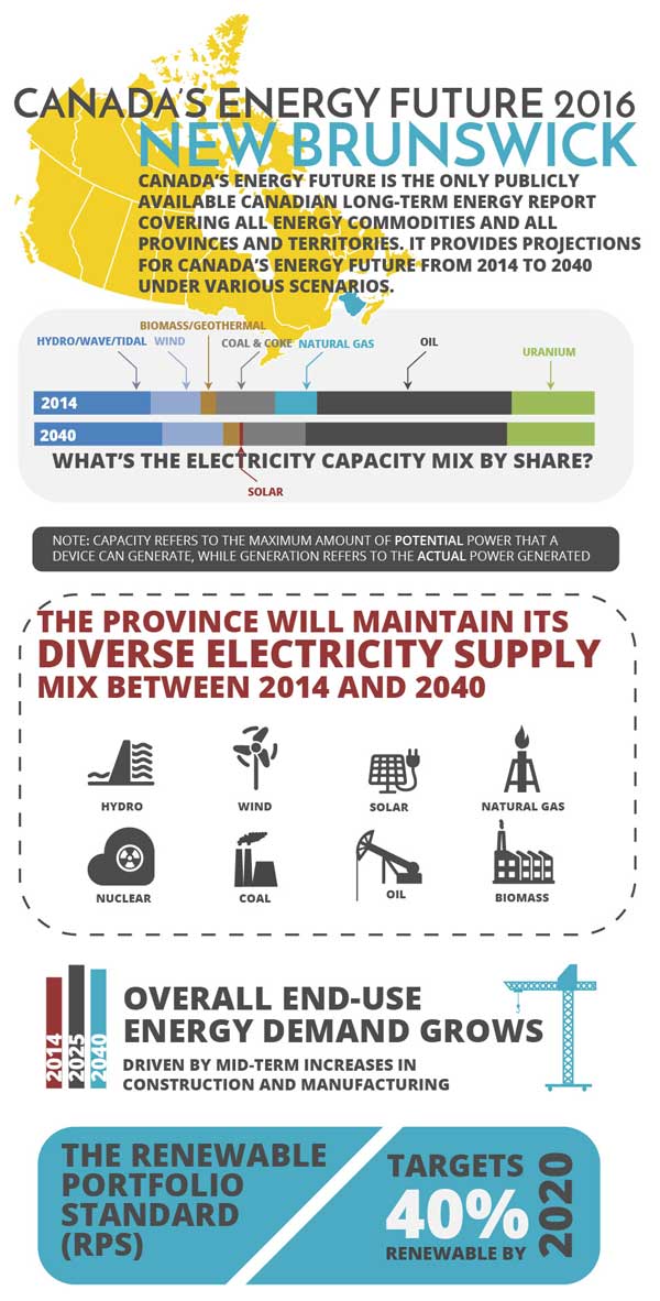 Infographic of key findings for New Brunswick