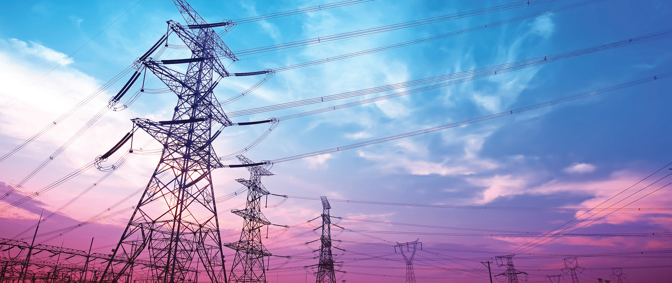 Banner image for Introduction