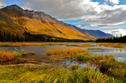 Autumn colours in the northern mountains