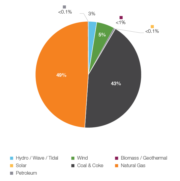 Figure 9: Electricity Generation by Fuel Type, 2018
