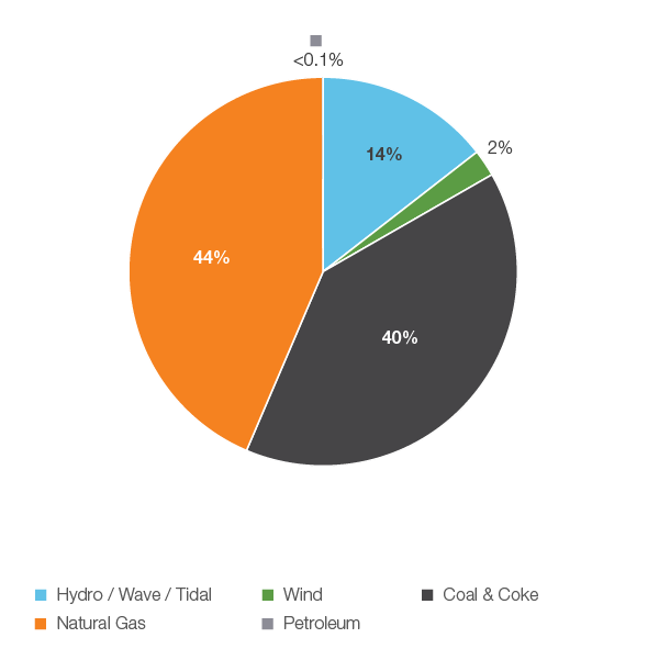 Figure 11: Electricity Generation by Fuel Type, 2018