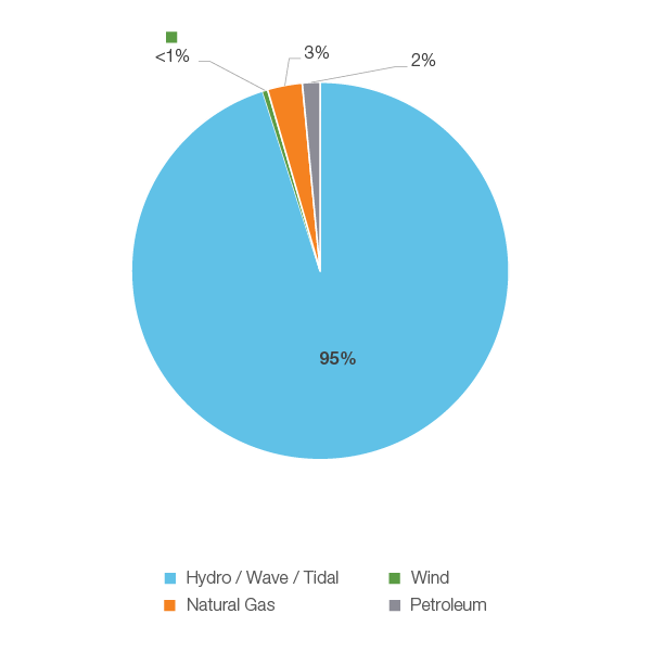 Figure 19: Electricity Generation by Fuel Type, 2018