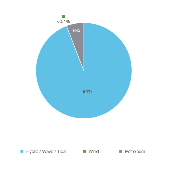 Figure 27: Electricity Generation by Fuel Type, 2018