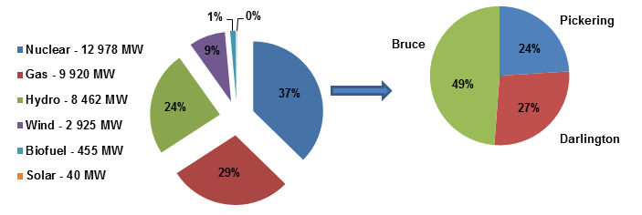 The chart shows installed electricity capacity by fuel type for the month of June 2015. Ontario’s installed generation capacity is 34 780 MW.  The installed nuclear capacity is 12 978 MW or 37 per cent of the total installed generation capacity.  Of that, Bruce makes up 49 per cent, followed by Darlington at 27 per cent and Pickering at 24 per cent.