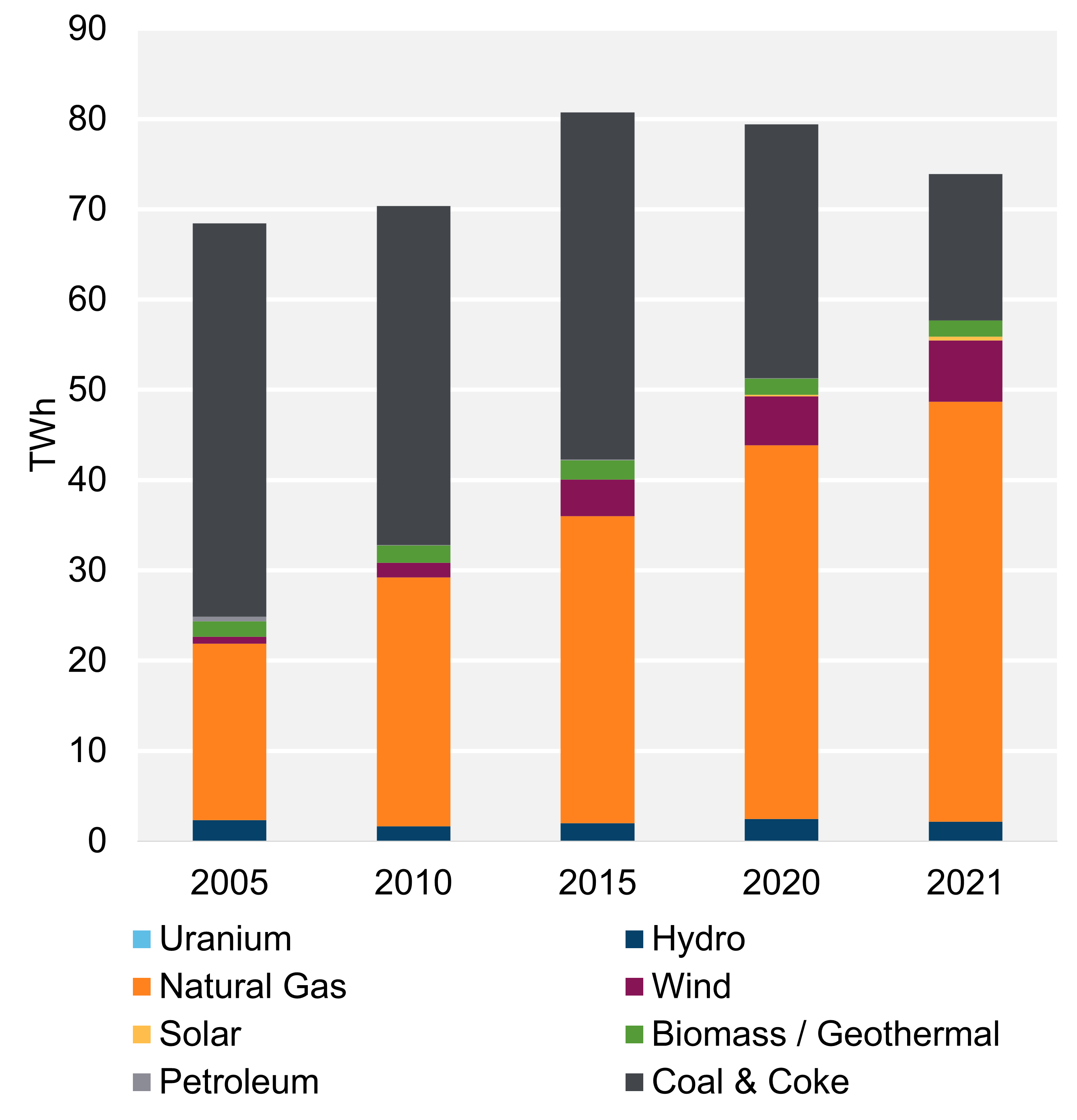 Figure 2: Electricity generation by Fuel Type, Trend (2021)