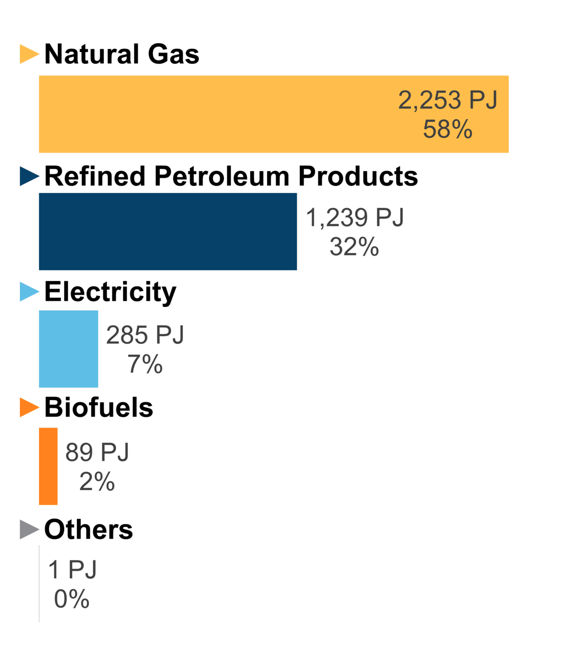 Figure 7: End-Use Demand by Fuel (2020)