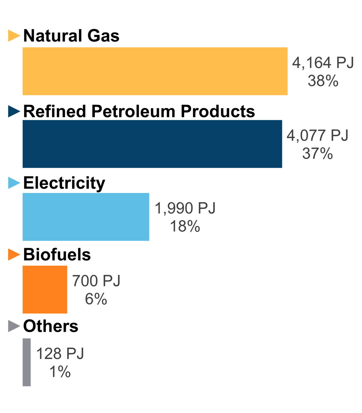 Figure 7: End-Use Demand by Fuel (2020)