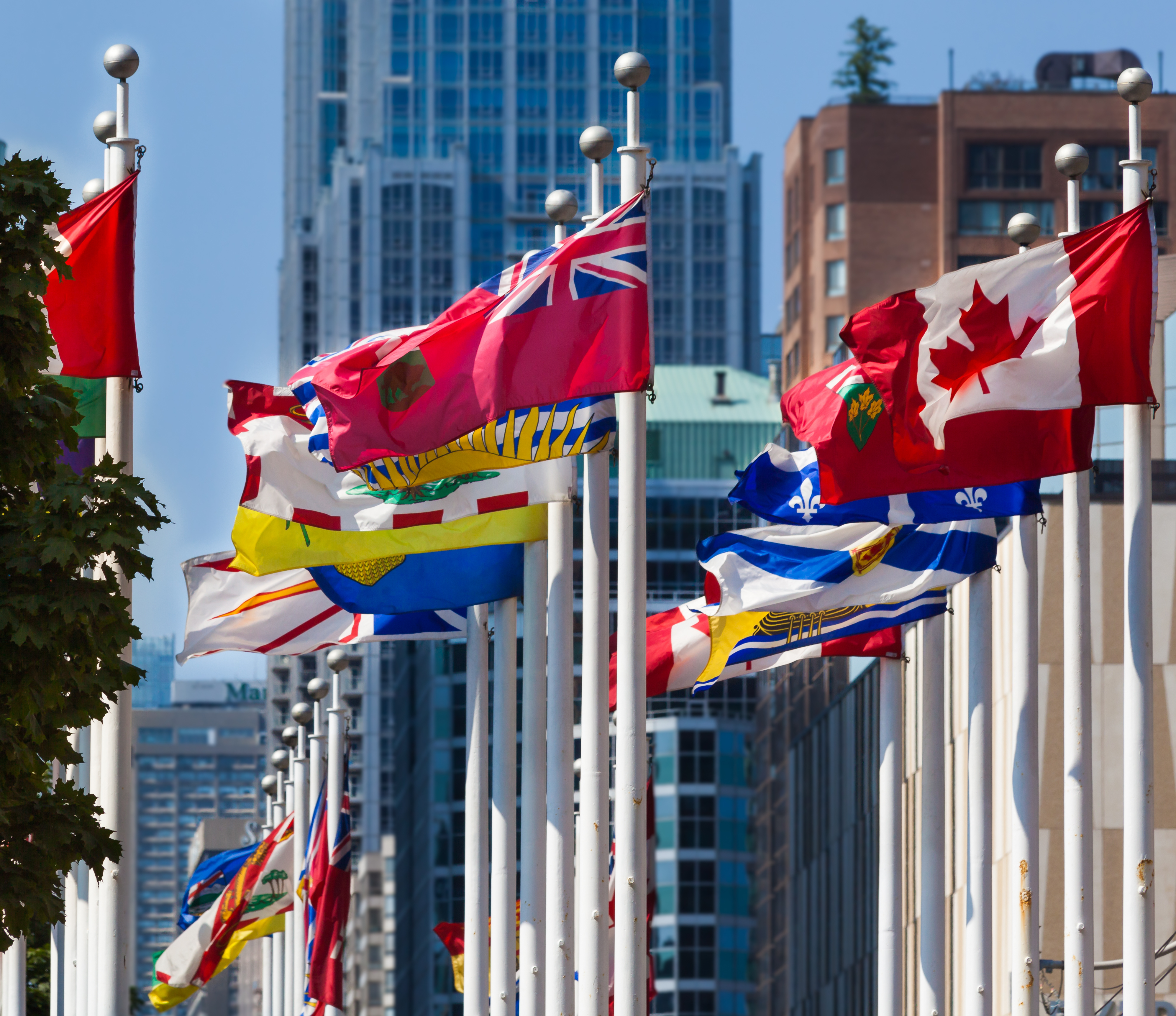 Canada's province and territory flags, on white poles, flying against a blue sky and a backdrop of tall commercial buildings in a major city.
