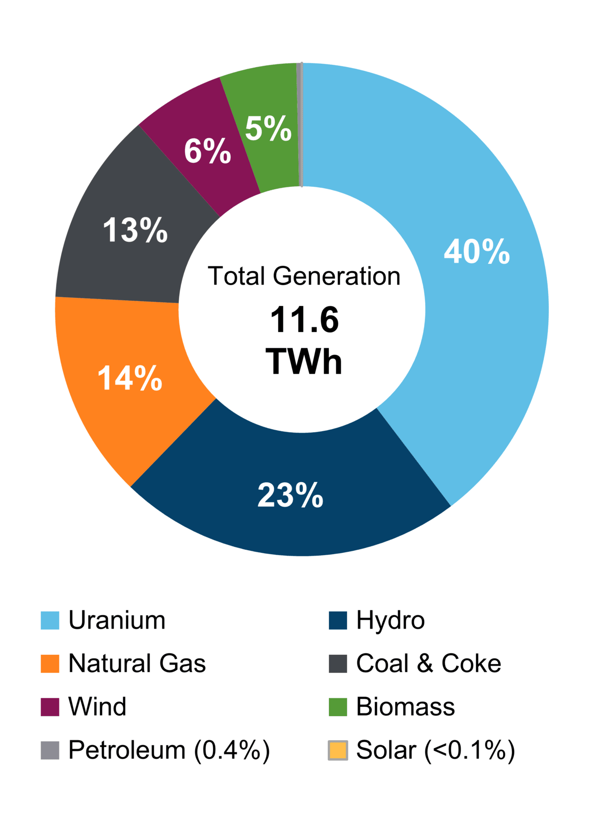 Figure 1: Electricity Generation by Fuel Type (2021)