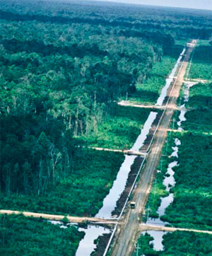 Réseau pipelinier du Canada