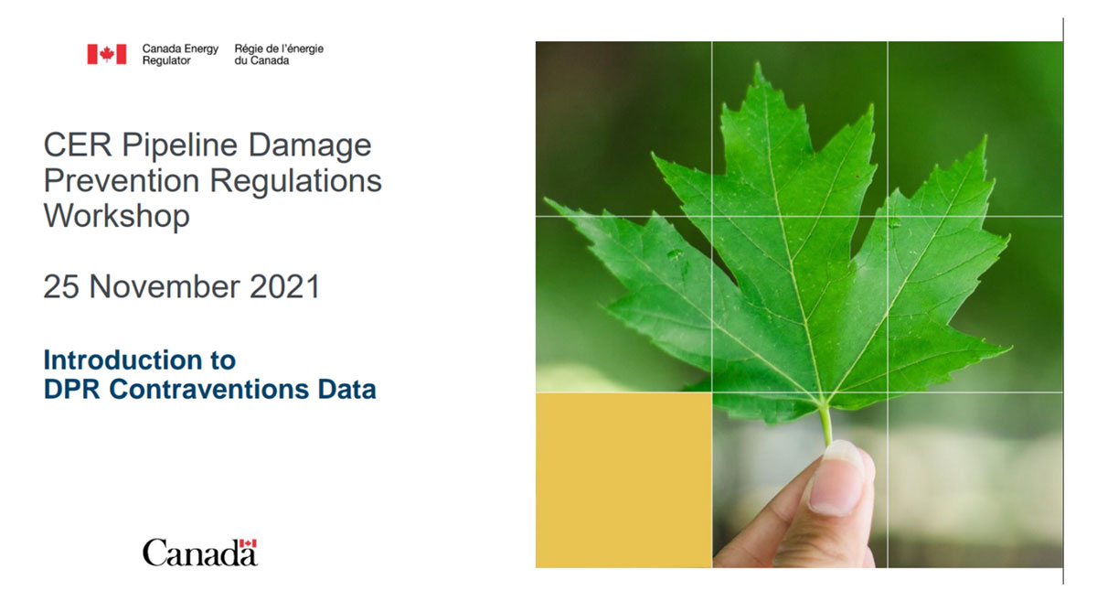 Introduction to DPR Contraventions Data