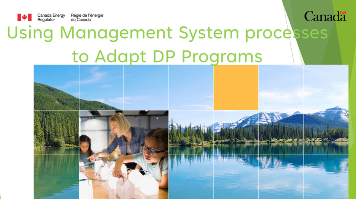 Using Management System processes to Adapt DP Programs