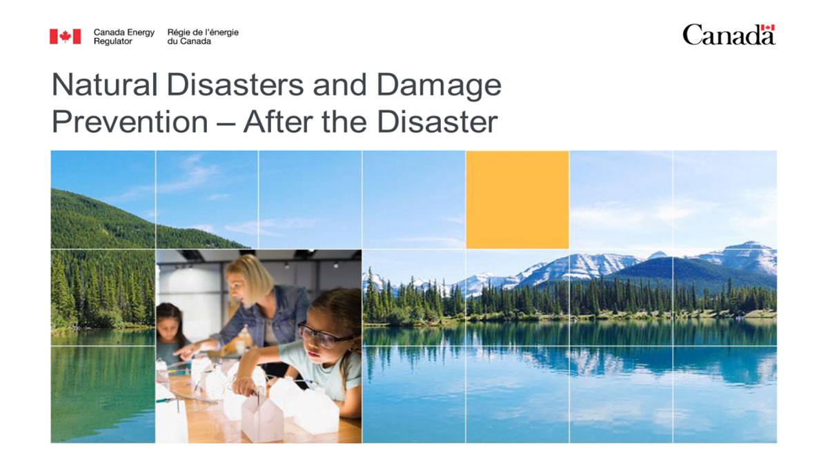Natural Disasters and Damage Prevention - After the Disaster