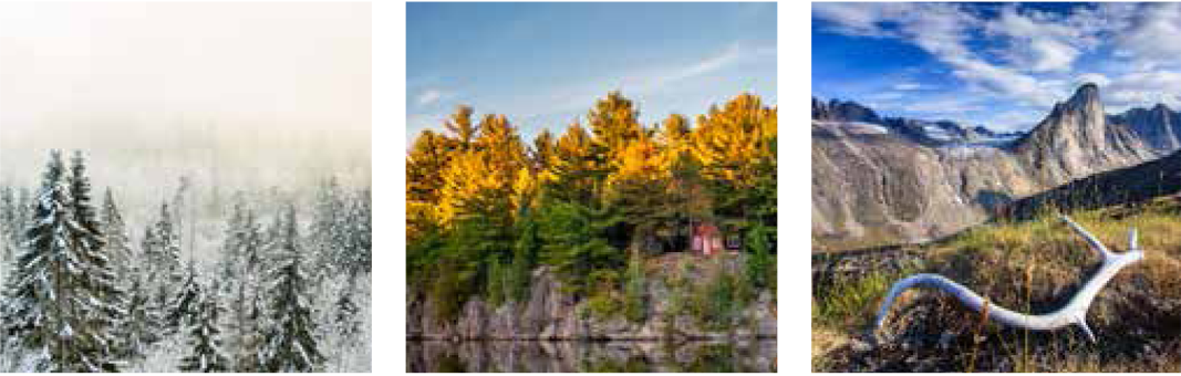 Image 1: A photo of snow-covered evergreens in the mist., Image 2: A fall scene showing a cabin and trees perched at the edge of a waterbody., Image 3: An image of an antler in the foreground with mountains in the background.