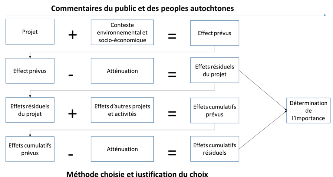 Figure&nbsp;6-1&nbsp;: Processus d&rsquo;EES du point de vue du demandeur