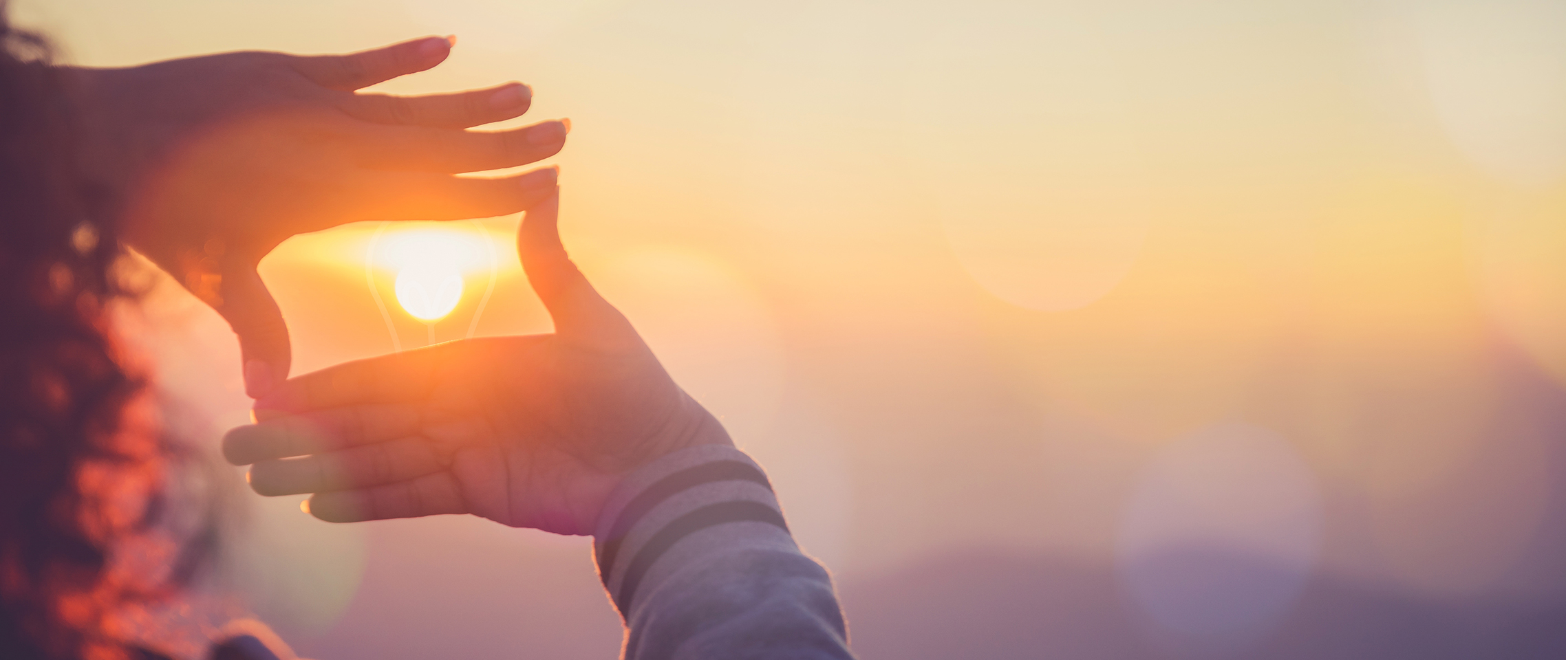 Banner image for Résultats