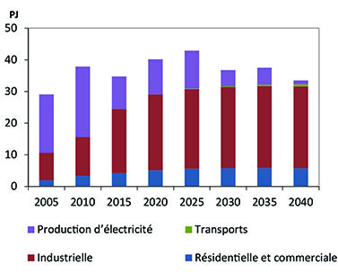Figure N.-B.1 - Demande de gaz naturel selon le secteur